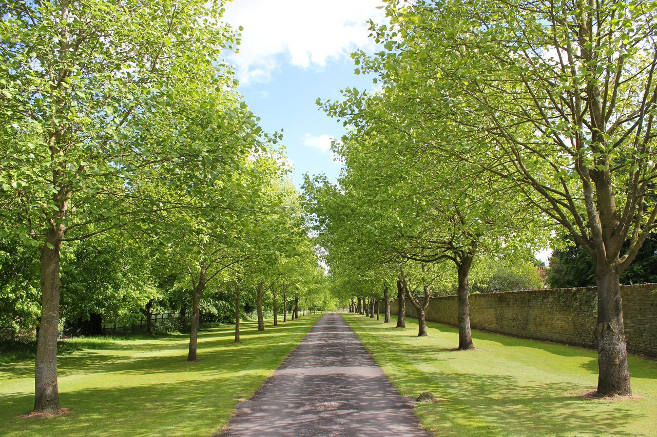 Chippenham Park Garden Rooms Eksteriør billede