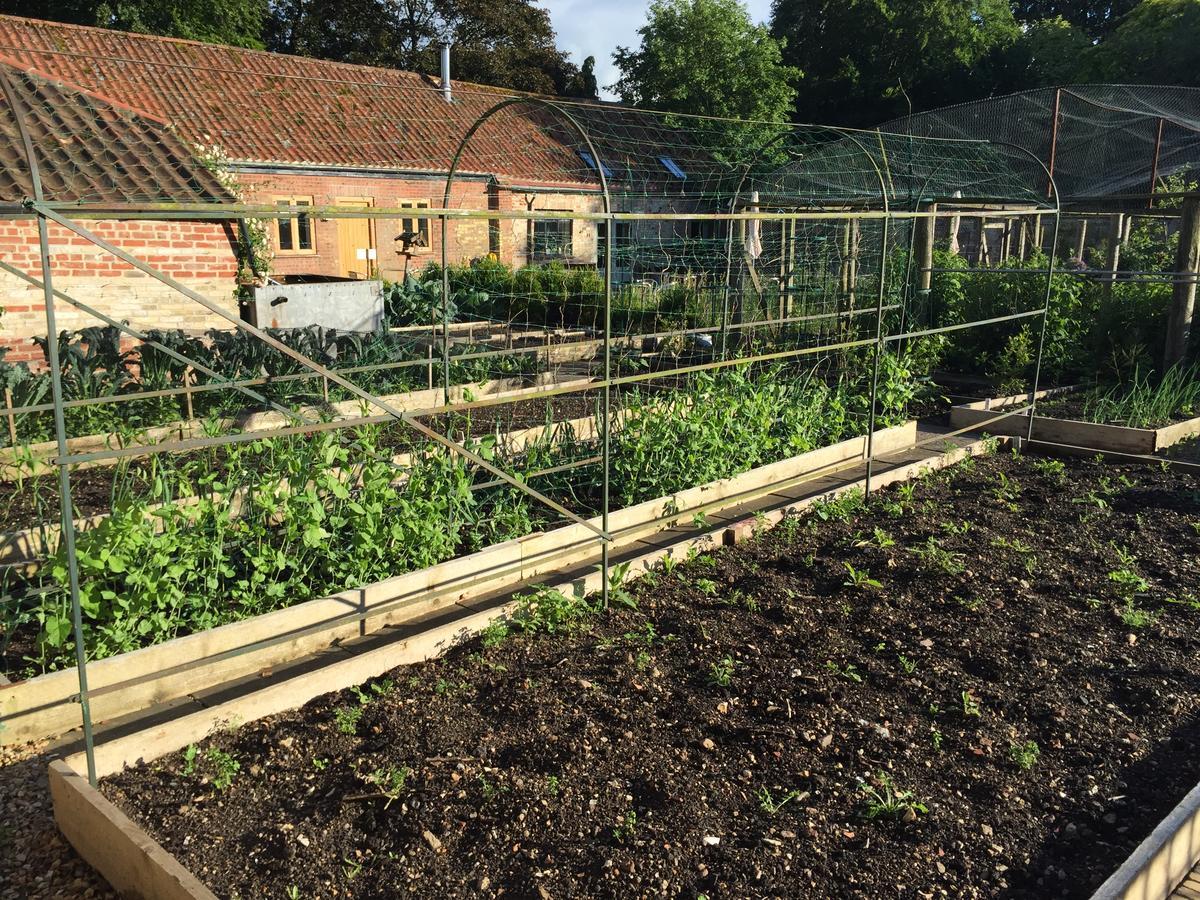Chippenham Park Garden Rooms Eksteriør billede